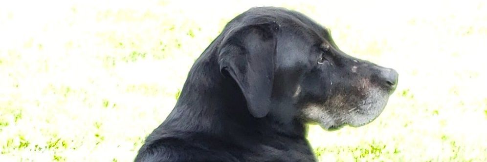 N042Nick's profile banner image