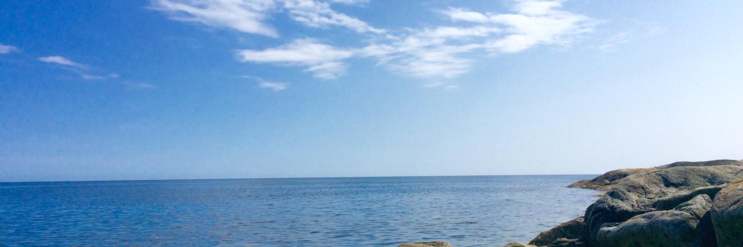 sarabratell's profile banner image