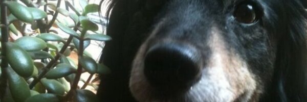 MarkBlakely75 Profile Banner