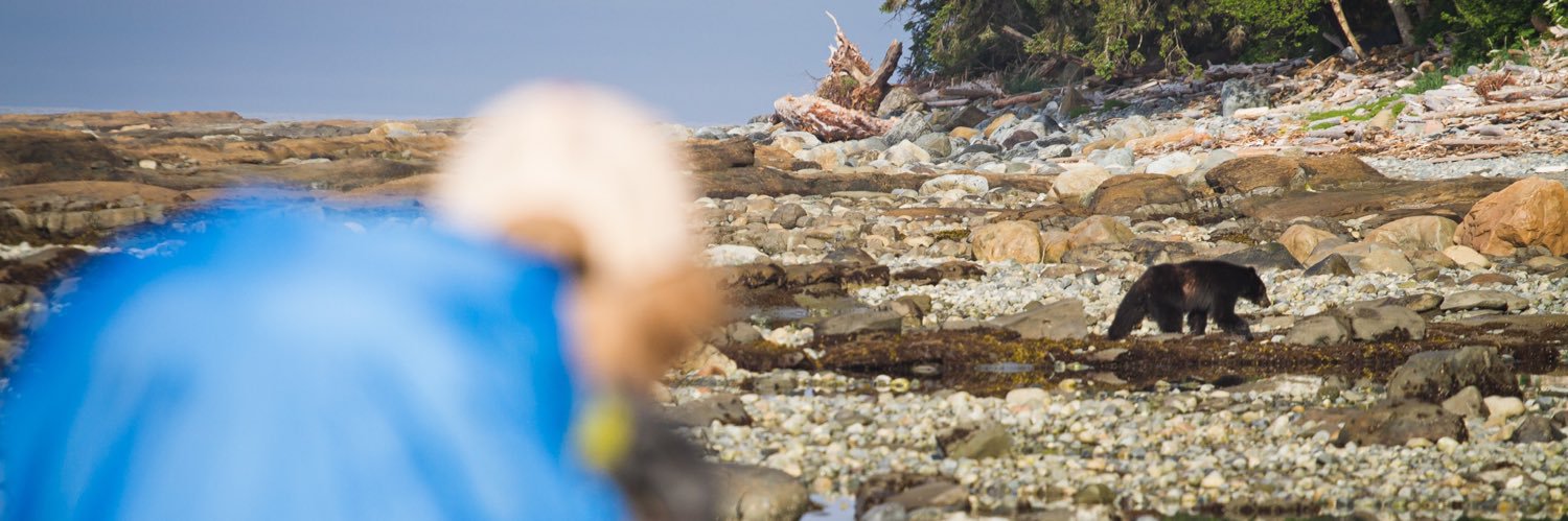 Gaute Hausken banner