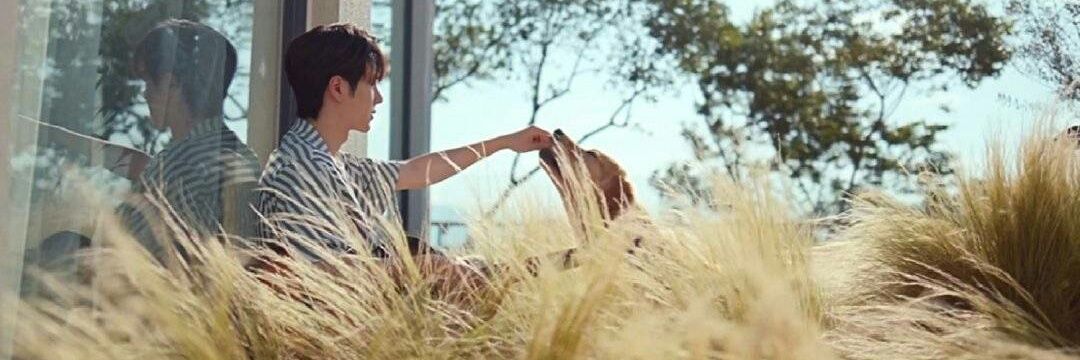 Yeiwaa_YIBO🦁💚 banner