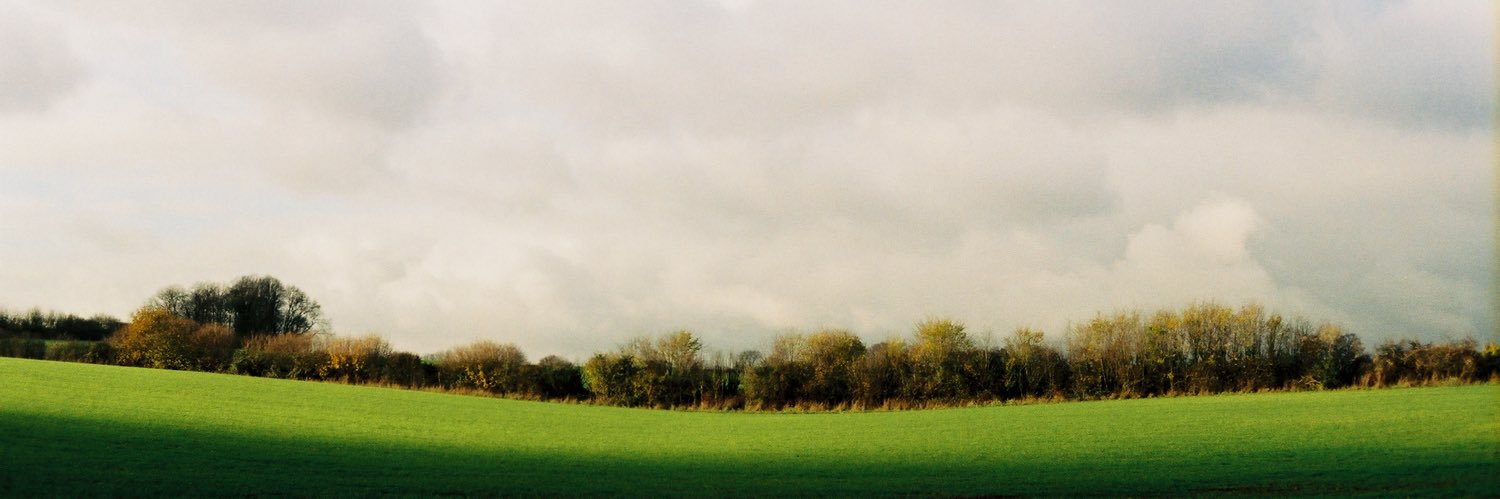 aüs banner
