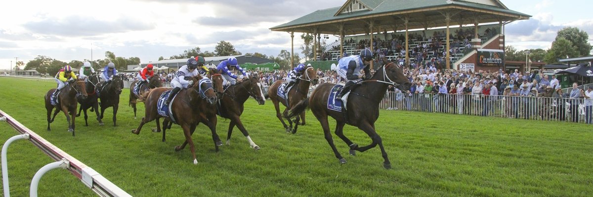 Tamworth Jockey Club banner