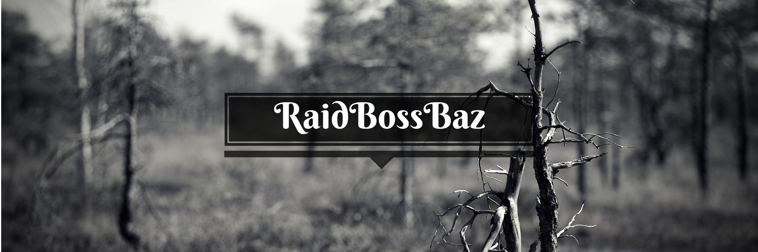 RaidBossBaz's profile banner image