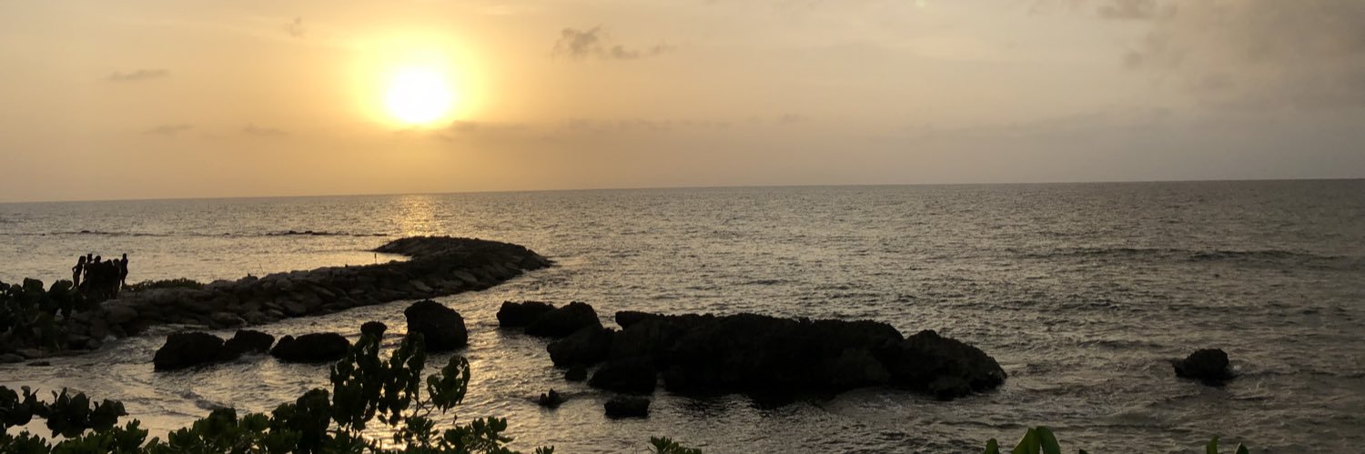 sfbrx's profile banner image