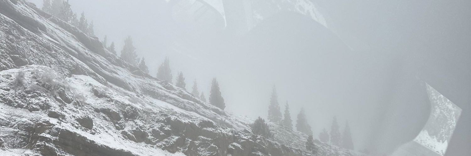 taylor mae banner