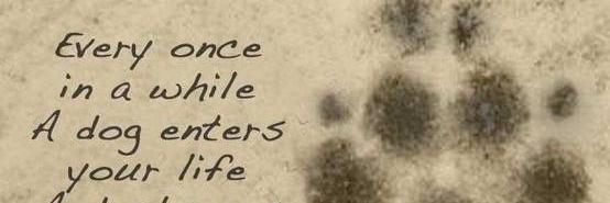 AngelofJBJ's profile banner image