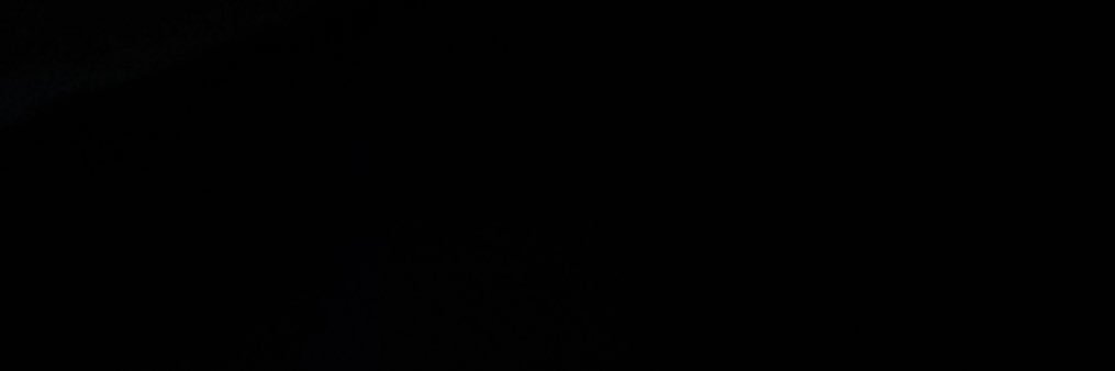 soulsbladee's profile banner image