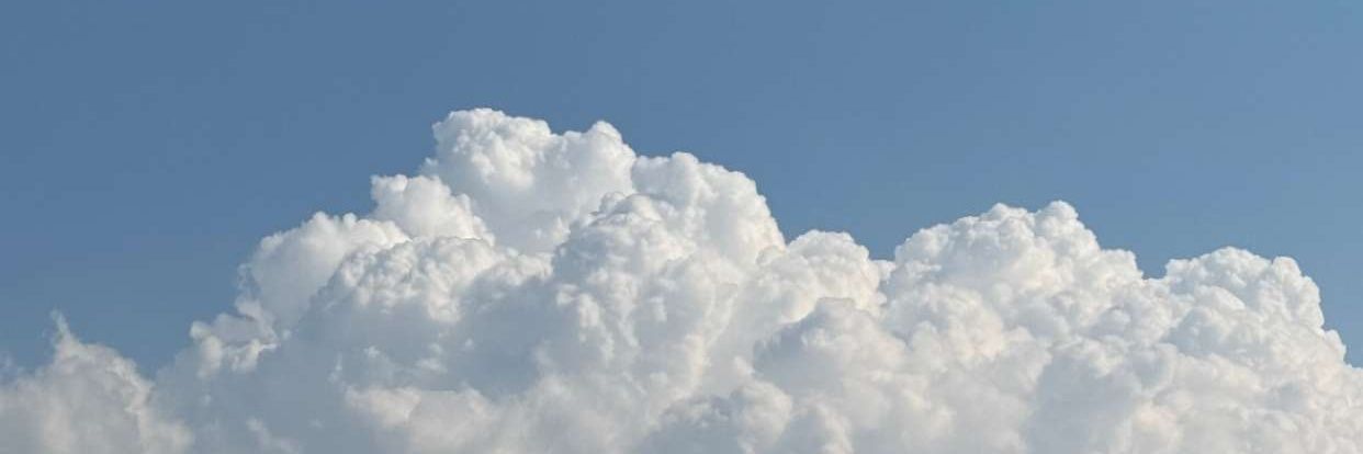 𝙱𝚂𝙷𝙰𝙴𝚁 banner