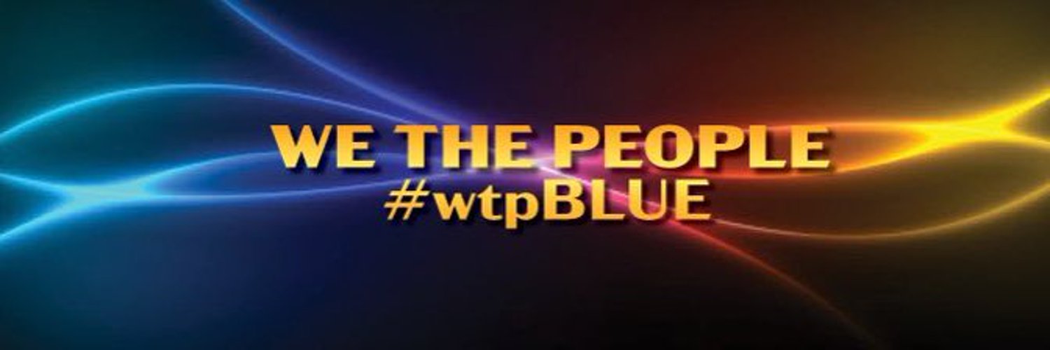 we the people (#wtpBLUE) Profile Banner