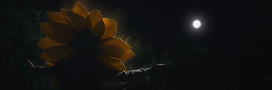guardino_'s profile banner image