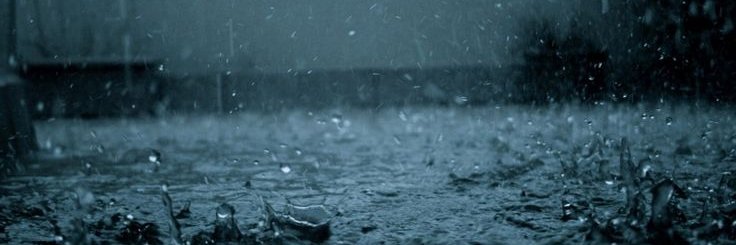 CarterMaceyWit1's profile banner image