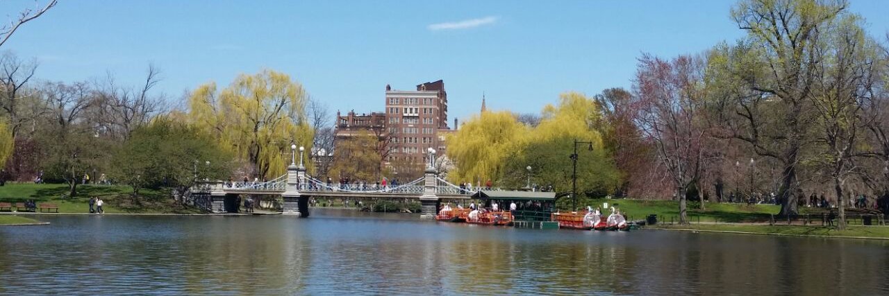 Samah Nassereddine MD banner