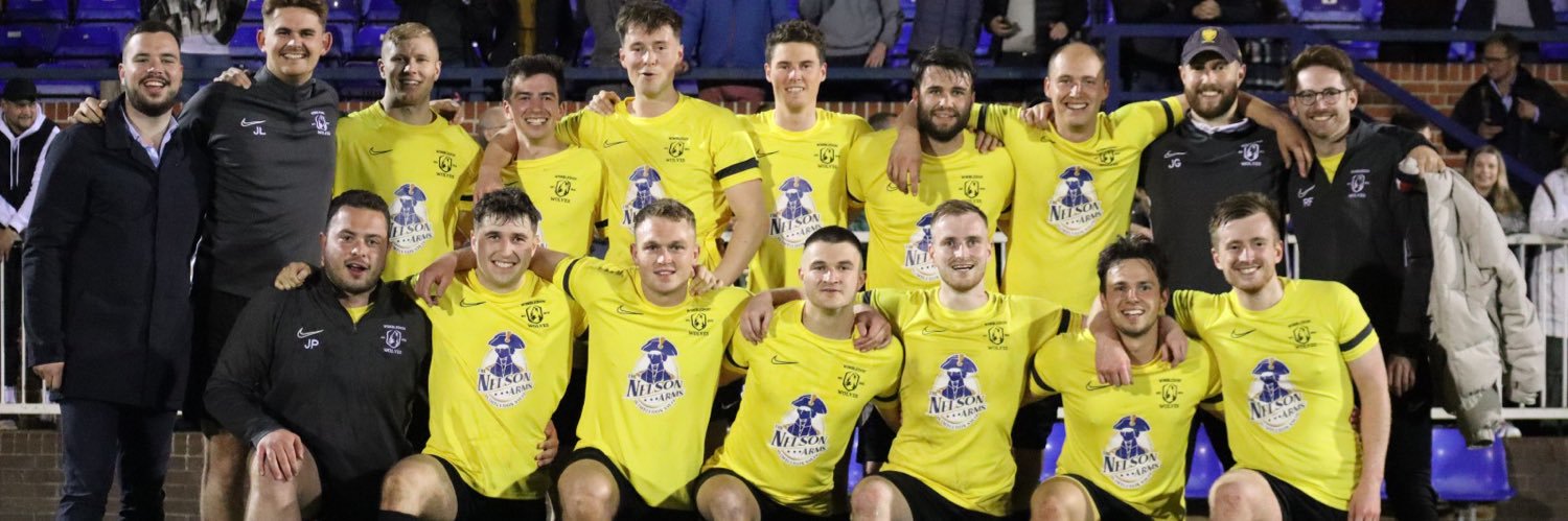 Wimbledon Wolves banner