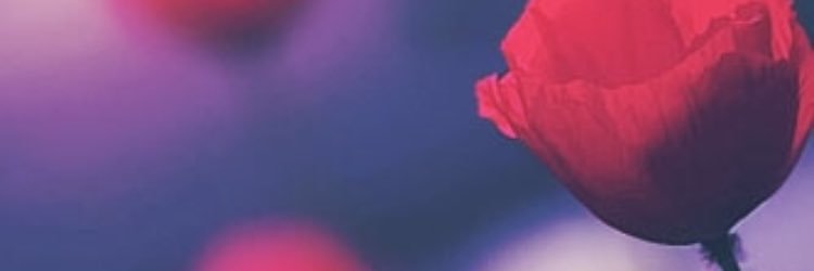 Mno_229's profile banner image