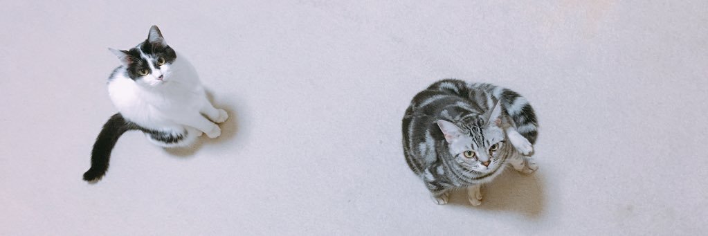 yomoboo's profile banner image