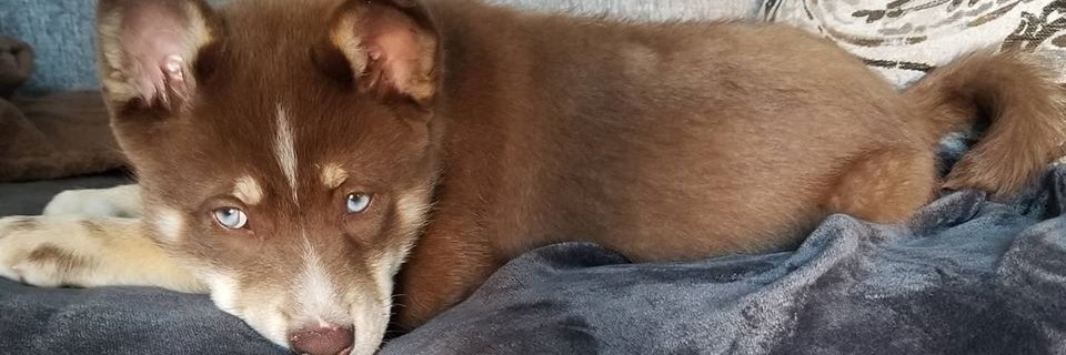 BTeichman's profile banner image