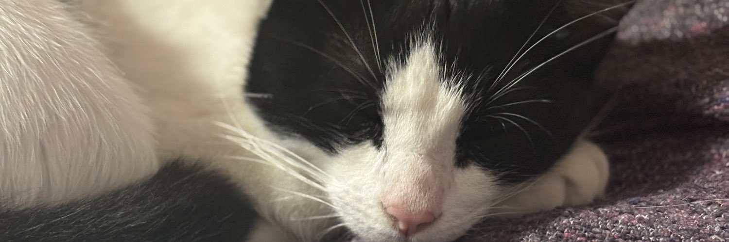 MartinezMacuu's profile banner image