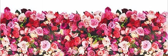CarlyABerry's profile banner image