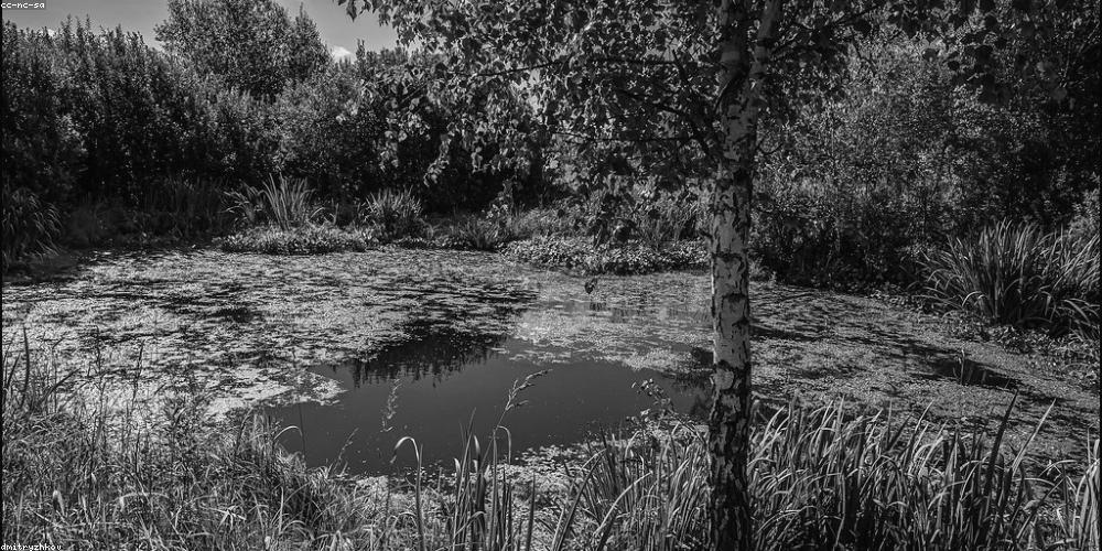 Tid_pl's profile banner image
