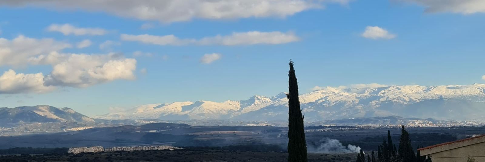 AntoniaSLMerida's profile banner image
