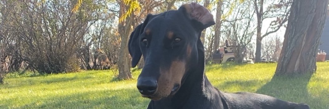 coreyeeee's profile banner image