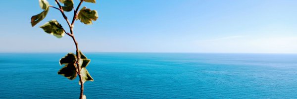 ClaraTurM Profile Banner