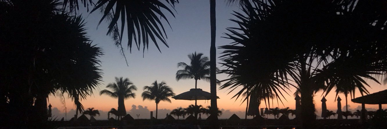 madelineevans__'s profile banner image