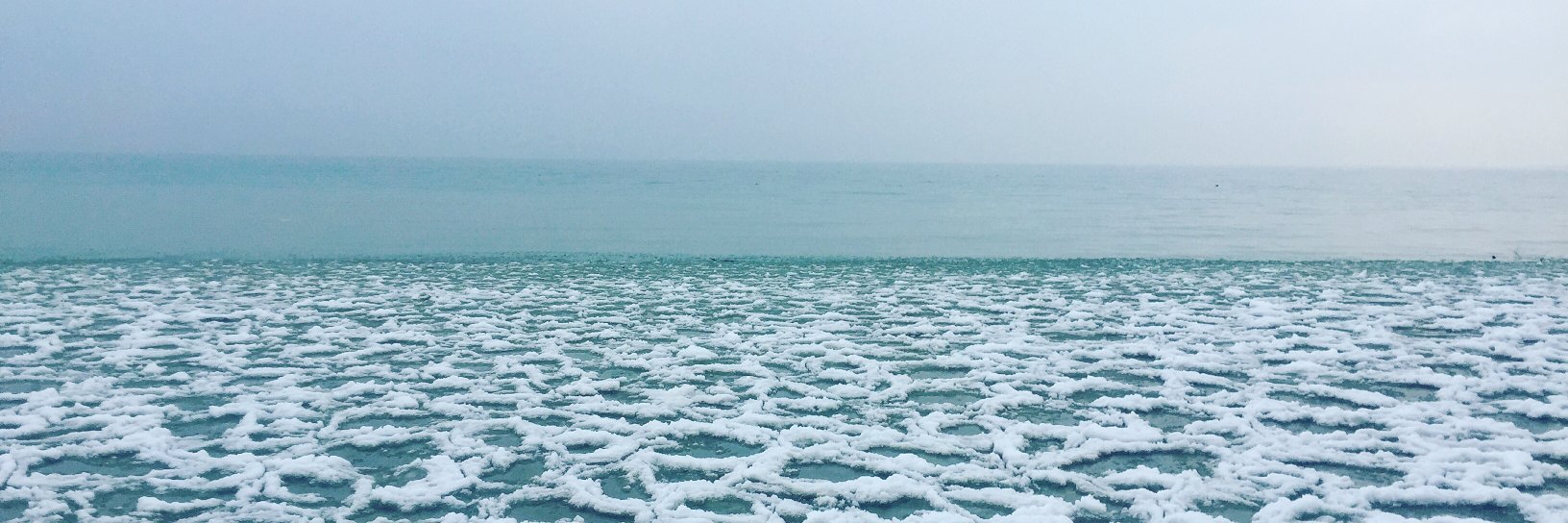 bronte55's profile banner image