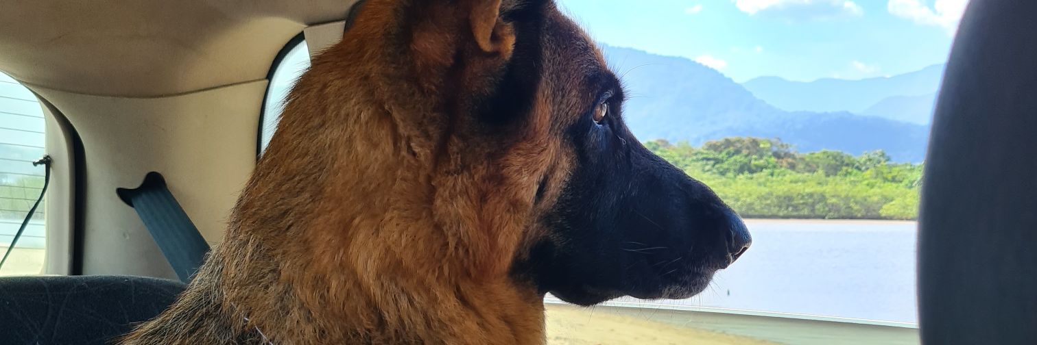 LaraEmily3's profile banner image