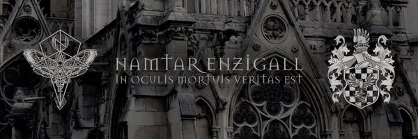 NamtarEnzigall Profile Banner