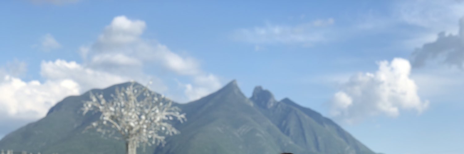 FernandoEnri1's profile banner image