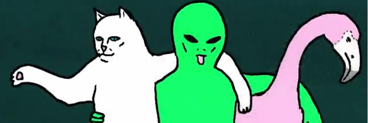 Dia_0818's profile banner image