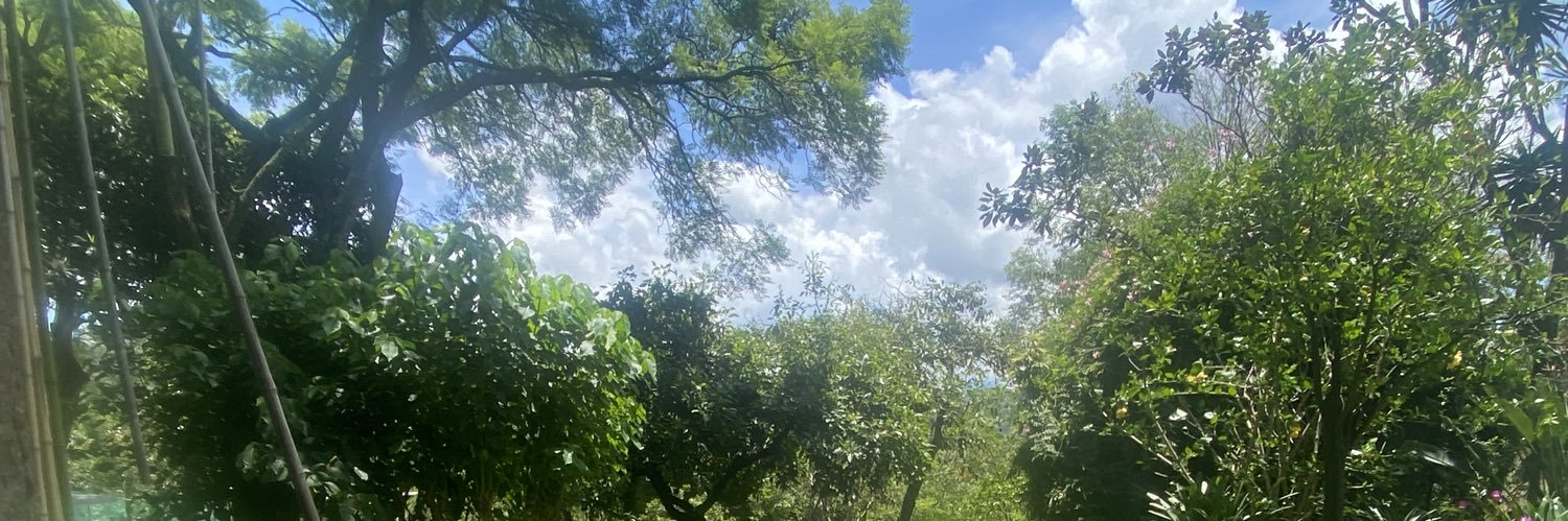 amirandasolis's profile banner image