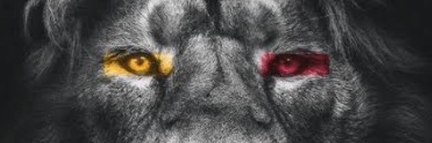 MertKARSI's profile banner image