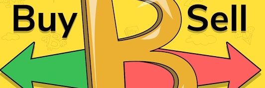 Alex banner