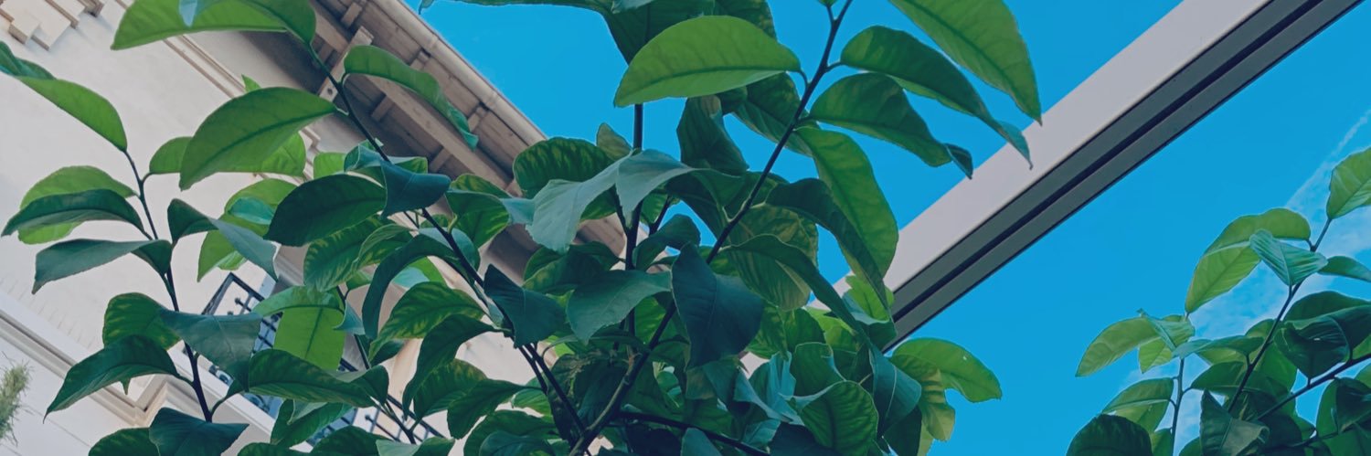 elix_blt's profile banner image