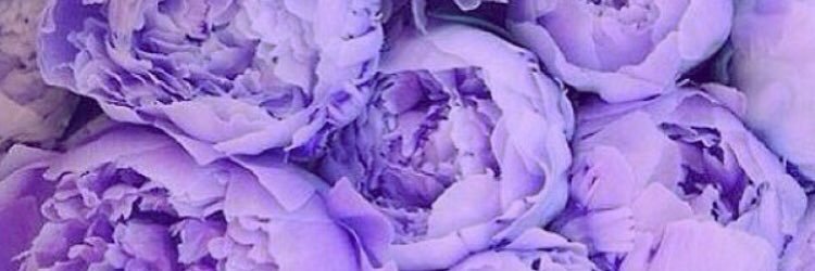 HagoodKatie's profile banner image