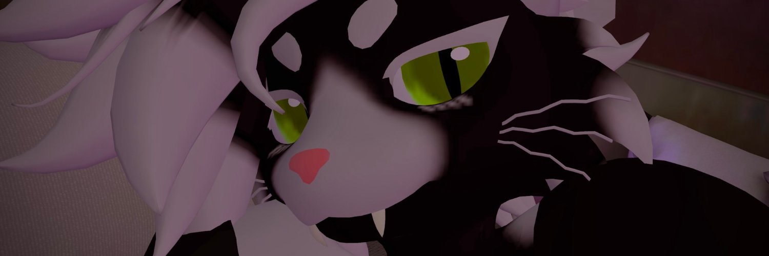 Ringo banner