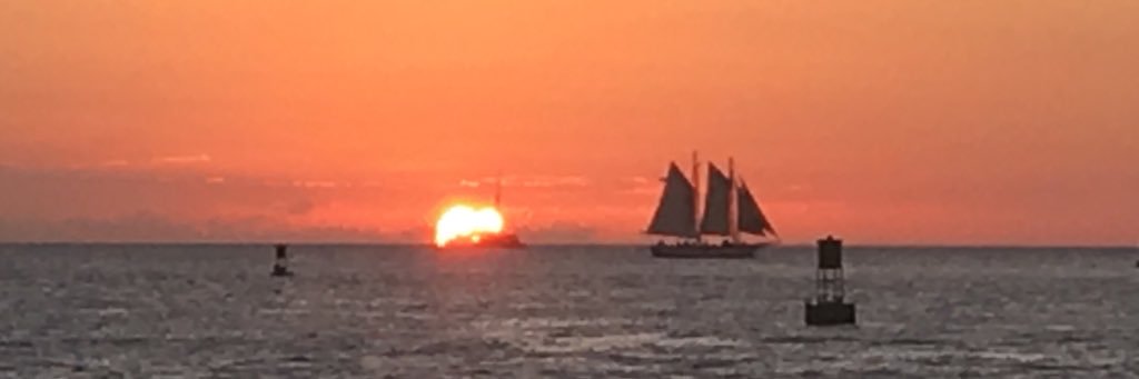 Chris Courtney banner