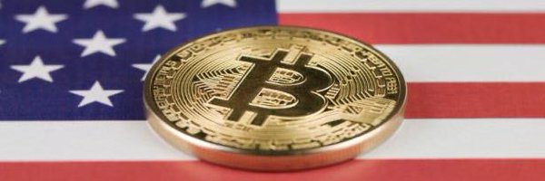 CryptoZog Profile Banner
