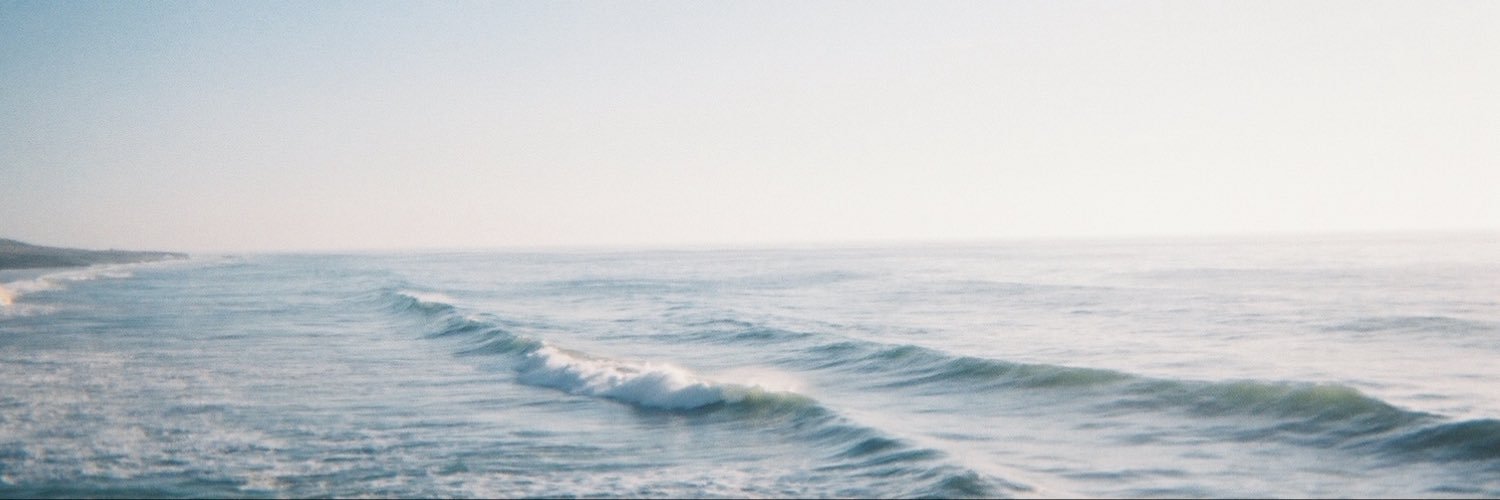 lil_hinks's profile banner image