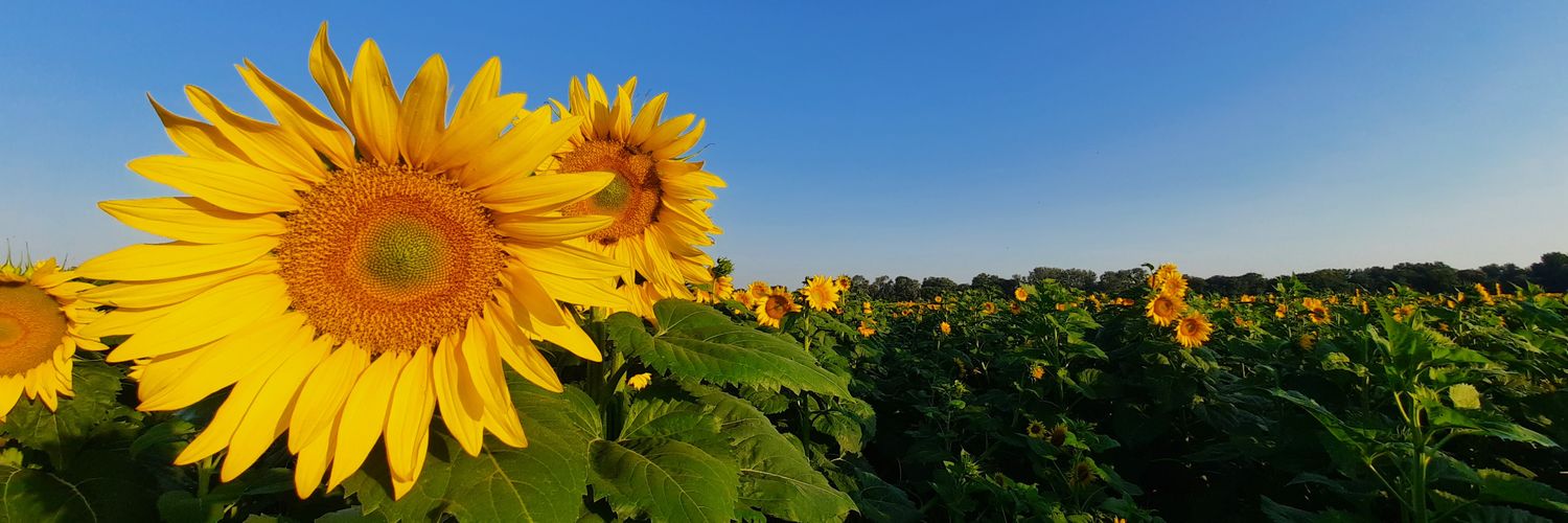 CoteMeteo's profile banner image