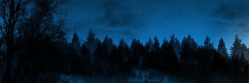 cuasiestatico's profile banner image