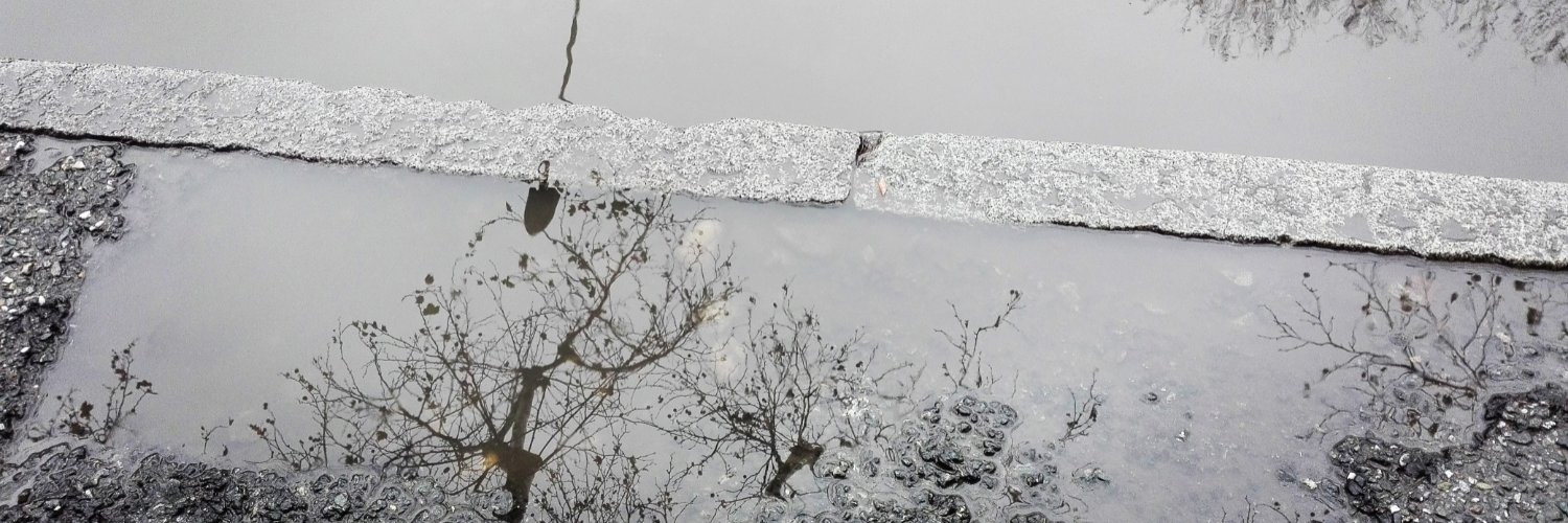 katiaKaska's profile banner image