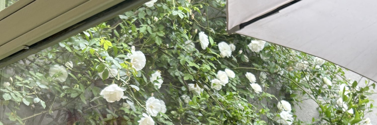 ornesosaa's profile banner image