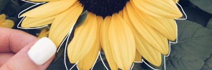 RoblesMaqui's profile banner image