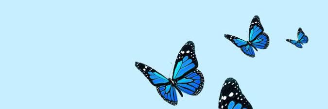 Oolivia_98's profile banner image