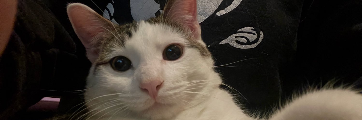 madipalki's profile banner image