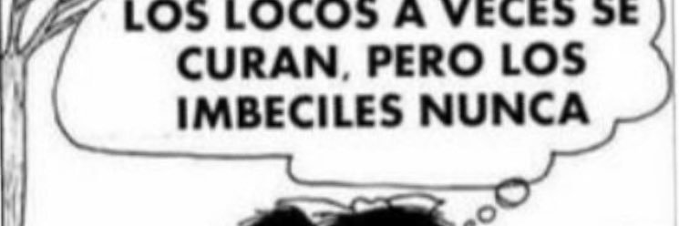 libreDetoda's profile banner image